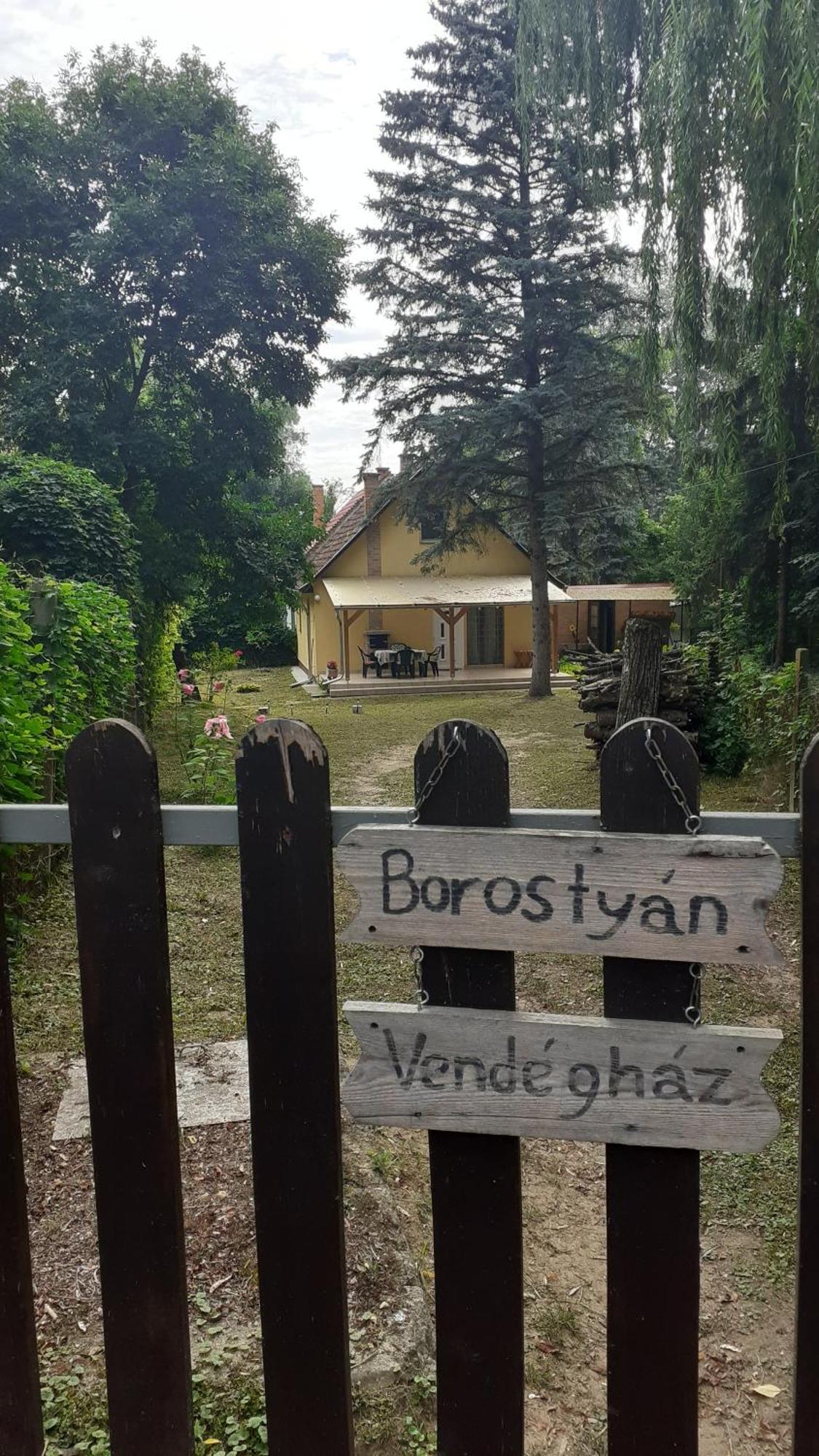 Апартаменти Borostyan Vendeghaz Тісауг Екстер'єр фото